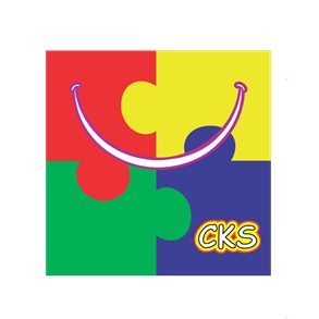 CKS Brazilian diecast